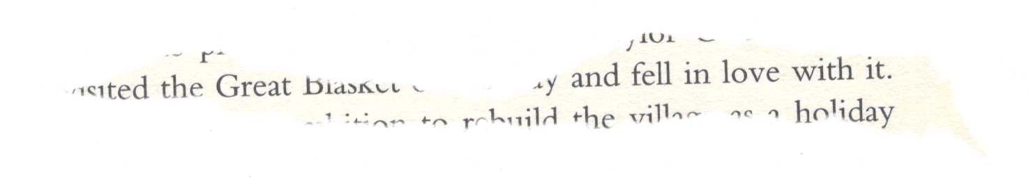 Ripped Paper